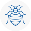 Bed Bug Extermination In Cromer