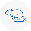 Rat Control Cromer