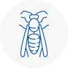 Cromer Wasp Nest Removal